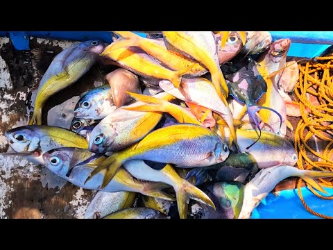 NakaJackpot uli! Nasapol Namin -P1