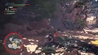SYUTOのモンハンだーーー！！！