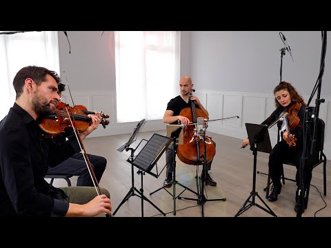 Barber - Adagio for Strings (Dover Quartet)