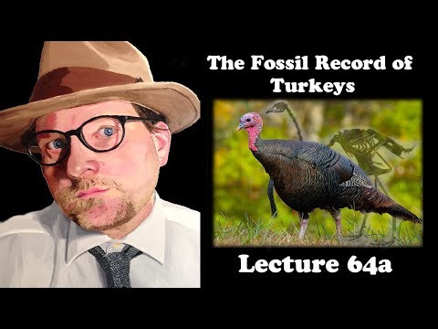 Lecture 64a Fossil Turkeys!