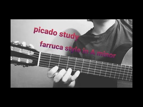 picado study farruca stylte in A minor with tab!