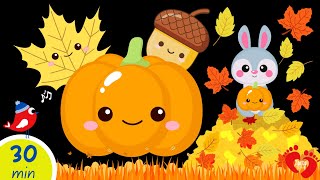 Pumpkin & Autumn Leaves Baby Sensory | High Contrast Video with Soothing Music gameplay video by amb137, 32:18 duration