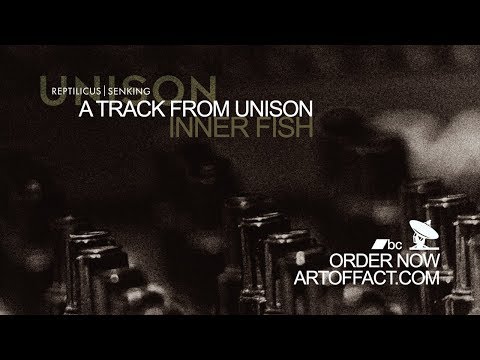 REPTILICUS & SENKING: Inner Fish #darktechno #Iceland #modular #synthesizer