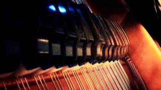 Dizraeli & The Small Gods - 2013