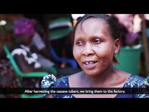 Cassava value chain in Kigoma Region.