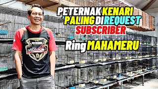 Download lagu CANARY BREEDERS‼️One of the BREEDERS that is often REQUESTED by SUBSCRIBER friends... mp3 Download lagu CANARY BREEDERS‼️One of the BREEDERS that is often REQUESTED by SUBSCRIBER friends... mp3