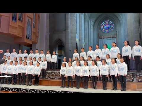 Firefly by Andy Beck