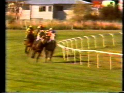 GREY WAY (NZ) 1976 Awapuni Gold Cup