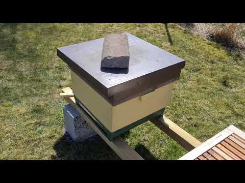 Dags att utöka bisamhället med låda 2