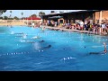 First Swim Meet