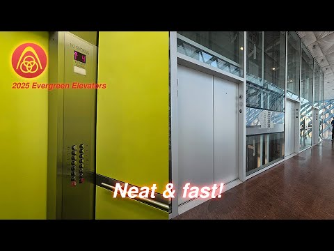 Neat ThyssenKrupp (mb. ThyssenKrupp) Traction Elevators | Seattle Public Library | Seattle, WA.