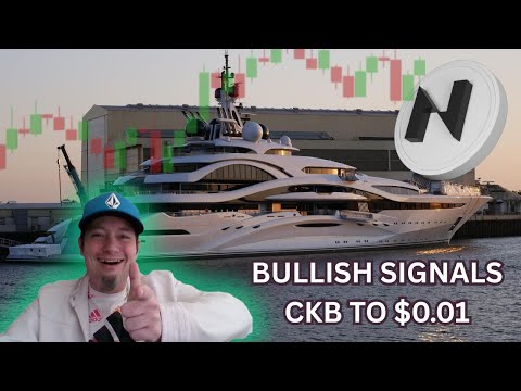 The Biggest Mystery In Crypto Nervos Network CKB