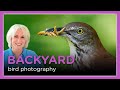Backyard Bird Photography with Deb Sandidge
