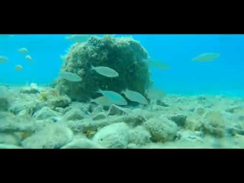 Holidays in Stanići, CROATIA