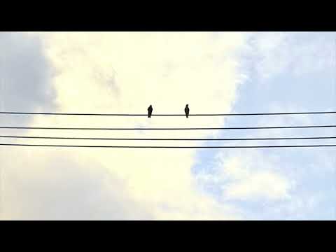 "Ode to a Good Pen" by Maria Popova (read by Nick Cave)