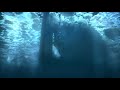 Sotto Il Gelo Film Horror In Italiano Completo