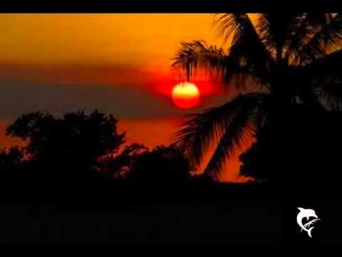 Daniela Nicol - Noche de Cuba