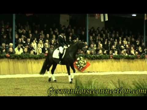 Feu DOr and Touch of Love Feb 10 2012