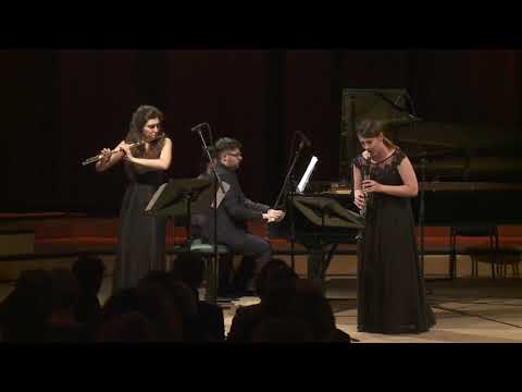 Trio DOBONA | Saint-Saëns: Tarantella op.6 for Flute, Clarinet and Piano
