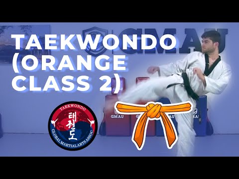 Taekwondo - Orange Belt - Class 2 thumbnail