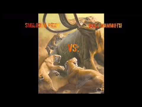 Smilodon Pride Vs. Bull Mammoth!