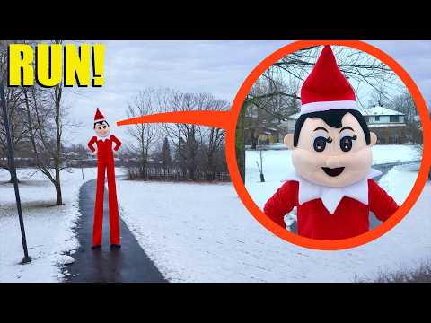 If you ever see the Tall Elf on the Shelf on Christmas Day, RUN AWAY FAST! (He is bad)