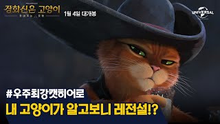 [장화신은 고양이: 끝내주는 모험] 히어로캣 소개 영상
