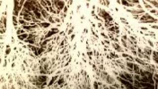 Vegas Nights - Touch And Feel(live)