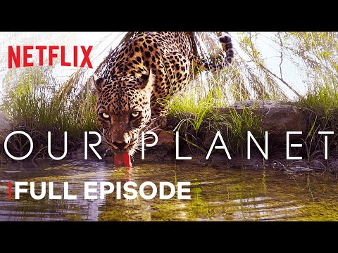 , title : 'Our Planet | From Deserts to Grasslands | FULL EPISODE | Netflix'