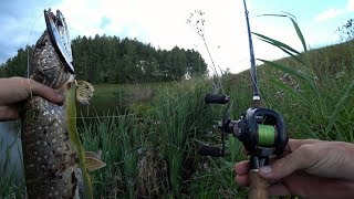 Какая погода хорошая для ловли щуки