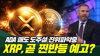  ADA 매도 도주설 부인, XRP 곧 찐반등 예고?