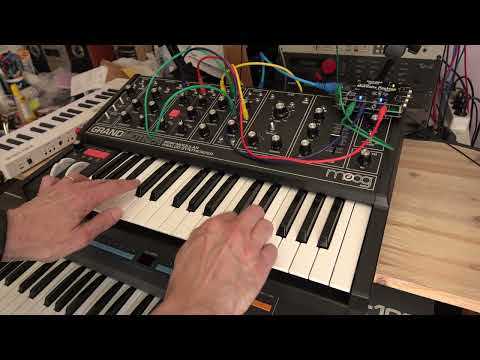 MidiVolts Desktop & Moog Grandmother demo Duophonic Part 2 29.5.2023