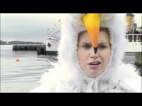 That's So Weird - Seagull