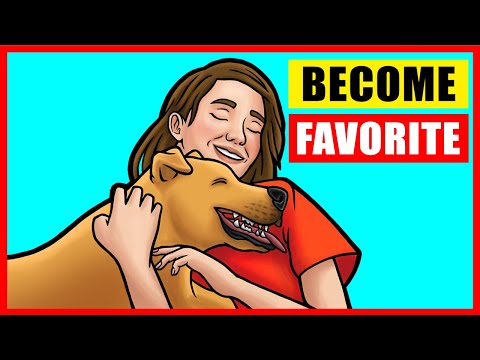 How Dogs Choose Their Favorite Person