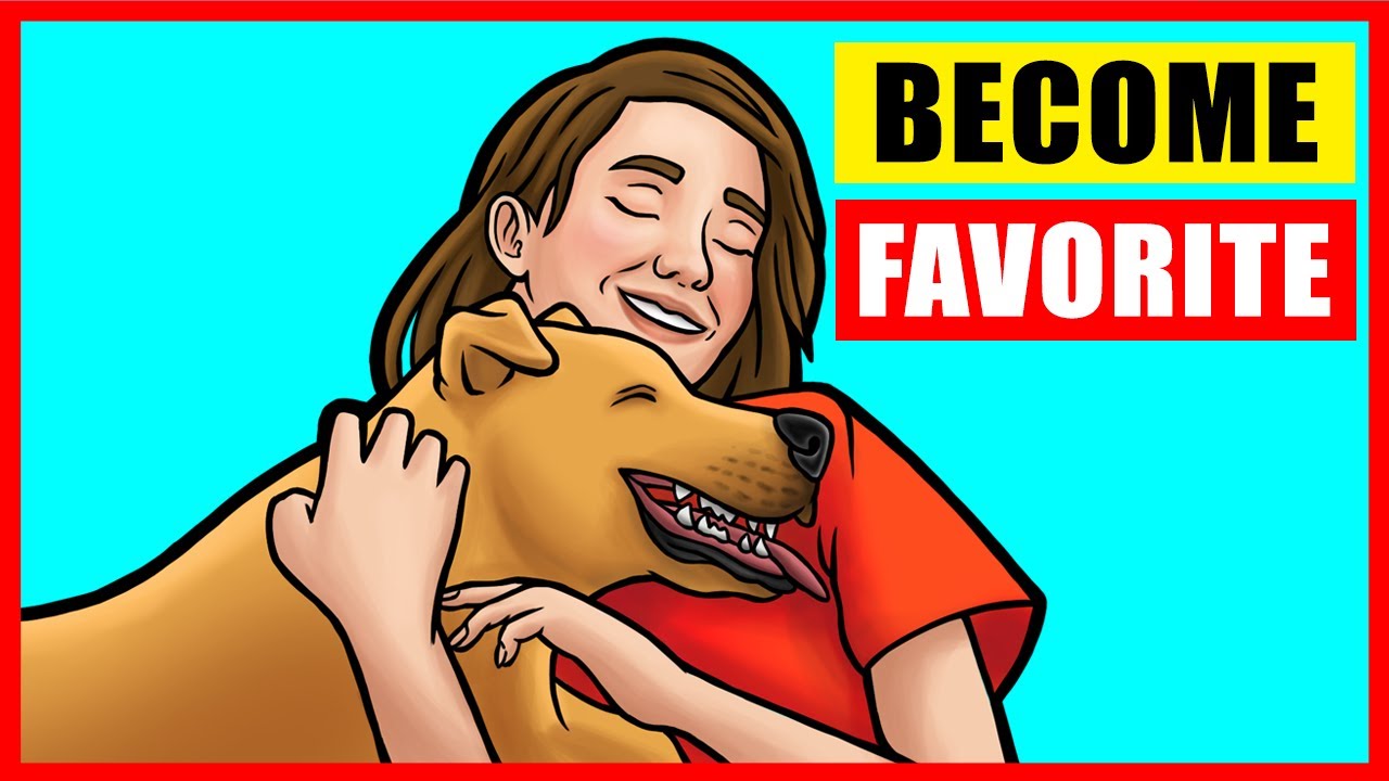 How Dogs Choose Their Favorite Person
