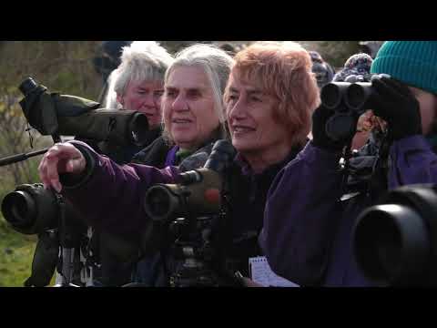 Wildlife at Connah’s Quay