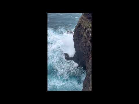 Marid - January Techno Mix 2024