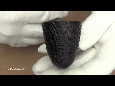 pipa Dunhill Shell Briar 3114 Group 3 - pipe 808