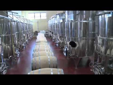 Cooper's Hawk Winery & Restaurants