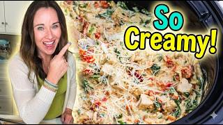 Crockpot Chicken Orzo (Taste Gourmet but Cheap to Make!)