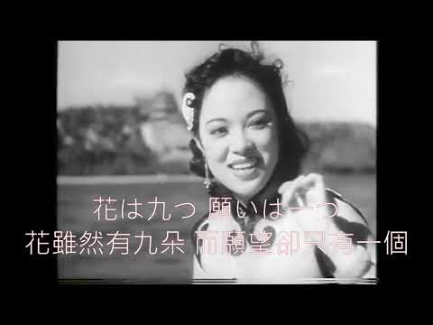 李香蘭、紅い睡蓮(紅色睡蓮)