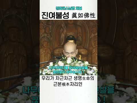 진여불성 청화스님