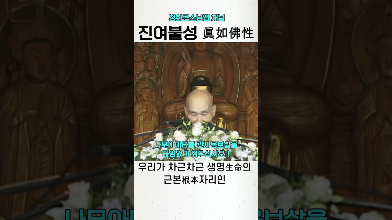 진여불성 청화스님