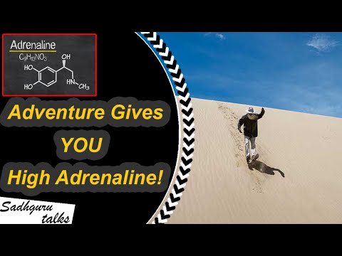 Adventure Gives You High Adrenaline! - Sadhguru at IIT Kharagpur – Youth and Truth