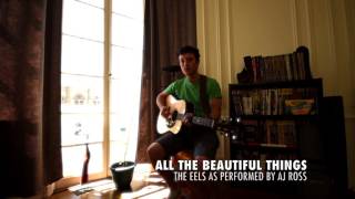 Video thumbnail of "ALL THE BEAUTIFUL THINGS – EELS"
