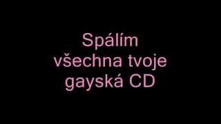 Shane Dawson - The one that turn you gay (czech lyrics)