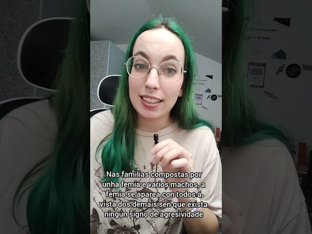 Vídeo relacionado con El arcoíris de la evolución: Diversidad, género y sexualidad en la naturaleza y en las personas (Ensayo)