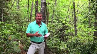 Lake Keowee Real Estate Expert Video Update May 2025