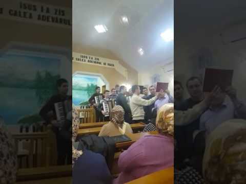 Fratii de la Băita de sub codru