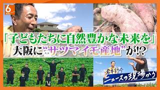 【岩本計介ニュースの現場から】“脱サラ”から大阪をサツマイモの産地に？　若手農家を徹底取材